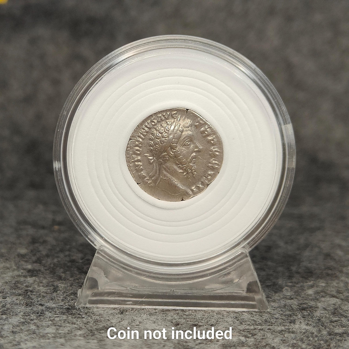 Coin Capsule Display case with stand and foam gasket