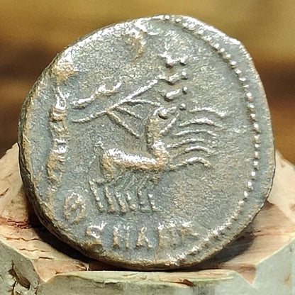 Divus Constantine coin with Chariot reverse, 306-337AD ancient roman Nummus