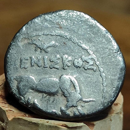 Illyria, Dyrrhachium, Drachm, Cow & Calf, 2nd-1st century BC, Ancient Greek coin
