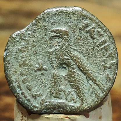 Ptolemy VI Ancient Egyptian coin with Zeus and eagle reverse, 180-170 BC