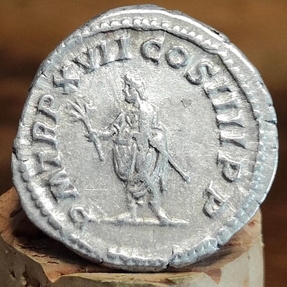 Caracalla Silver Denarius with Genius reverse, 198- 217 AD, Ancient roman coin