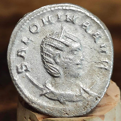 Salonina Roman coin, Pudicitia reverse, 253-268AD, 3rd century ancient Antoninianus