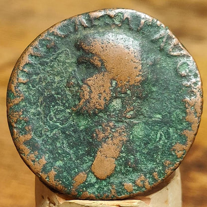 Claudius As Roman Coin, Libertas reverse, 42AD