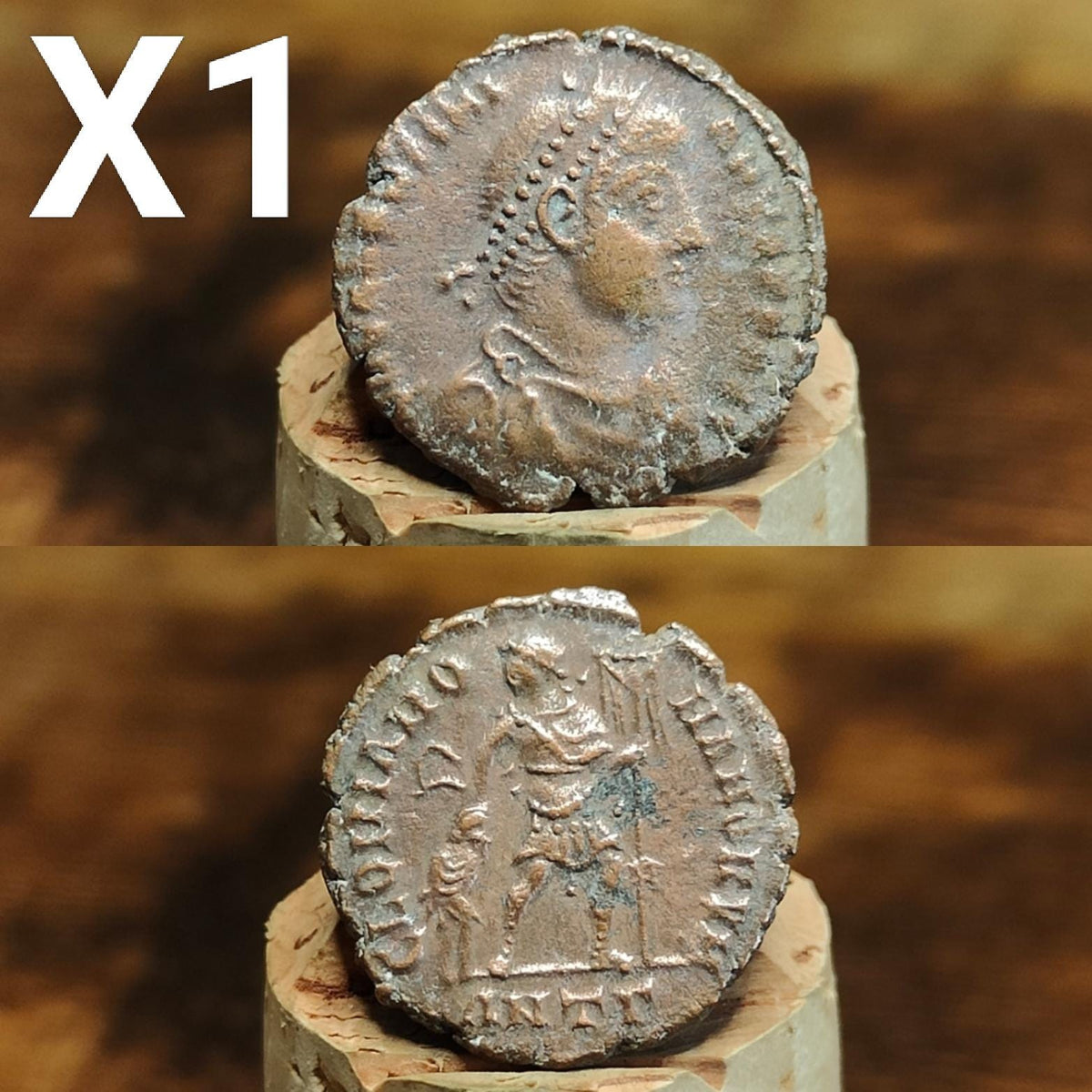 Cleaned Roman coins, ancient Nummus and Follis