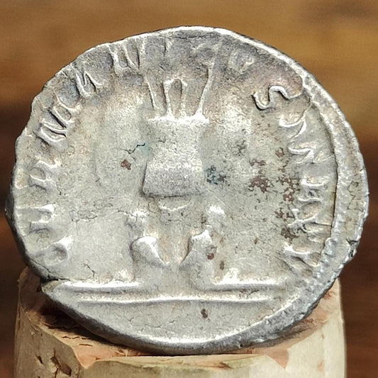 Gallienus Antoninianus, Germanicus Max reverse 253-268AD, ancient Roman coin
