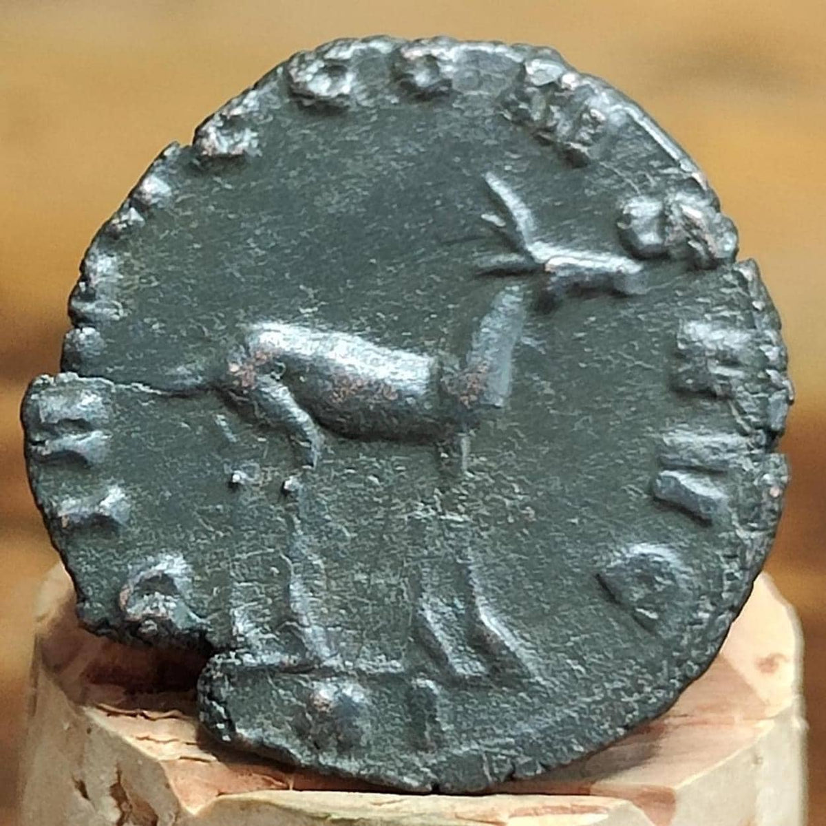 Gallienus Zoo Series Antoninianus , Doe Reverse, 253-268AD, In The Name Of Diana