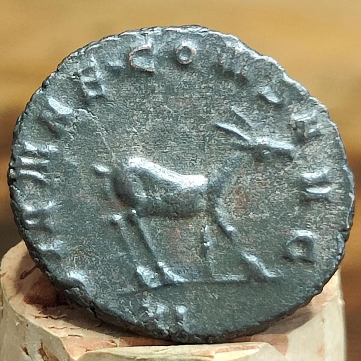 Gallienus Zoo Series Antoninianus , Doe Reverse, 253-268AD, In The Name Of Diana