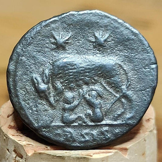 Roman commemorative coin with She Wolf reverse, 330-354AD ancient Nummus