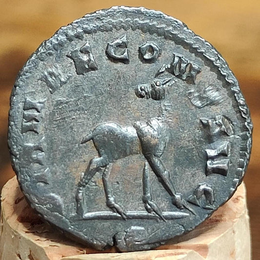 Gallienus Zoo Series Antoninianus , Doe Reverse, 253-268AD, In The Name Of Diana