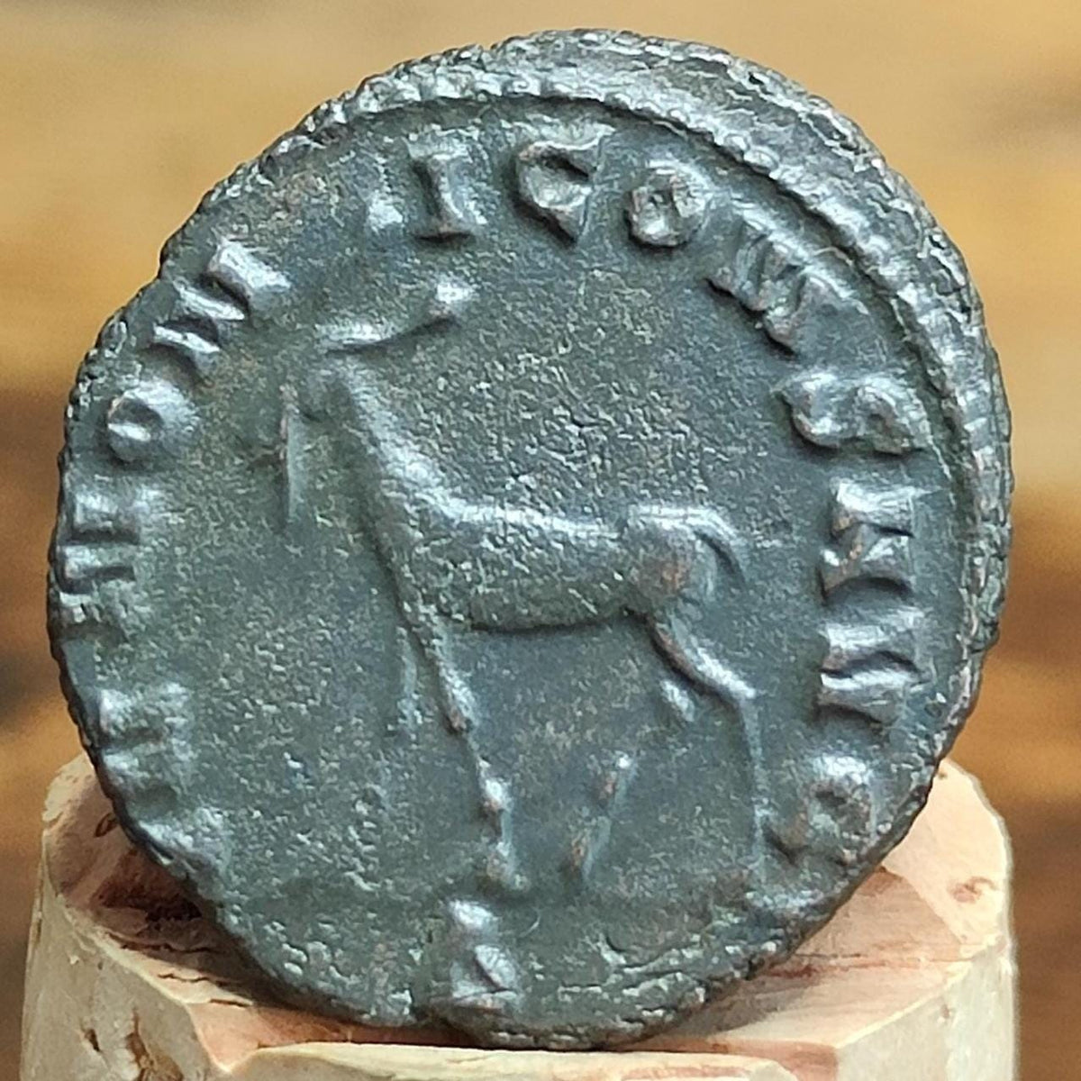 Salonina Zoo Series Antoninianus , Goat Reverse, 253-268AD, In The Name Of Jupiter
