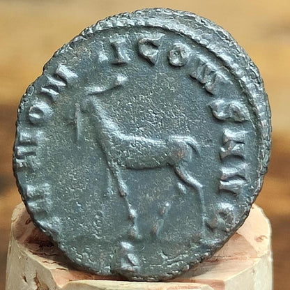 Salonina Zoo Series Antoninianus , Goat Reverse, 253-268AD, In The Name Of Jupiter