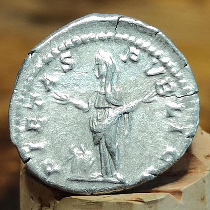 Julia Dommna Silver Denarius with Pietas reverse, Ancient roman coin - VPUKcoins
