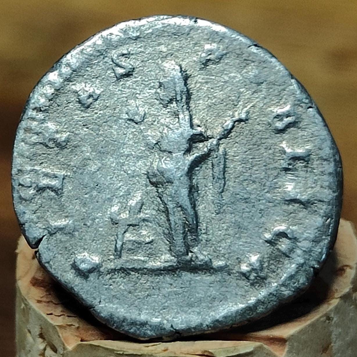 Julia Domna Silver Denarius with Pietas reverse, Ancient roman coin - VPUKcoins