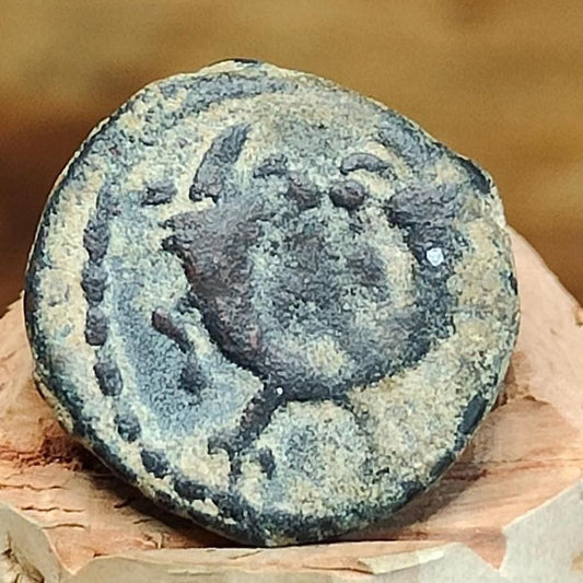 Kings of Nabatea, Aretas IV and crossed cornucopia, Ancient Greek coin 9 BC - 40 AD - VPUKcoins