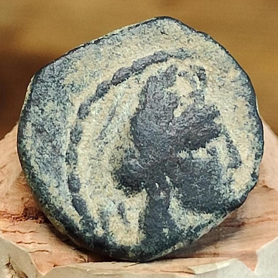 Kings of Nabatea, Aretas IV and crossed cornucopia, Ancient Greek coin 9 BC - 40 AD - VPUKcoins