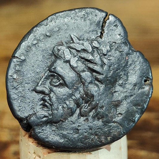Kings of Numidia, Micipsa and horse, Ancient Greek coin 148 - 118 BC. - VPUKcoins