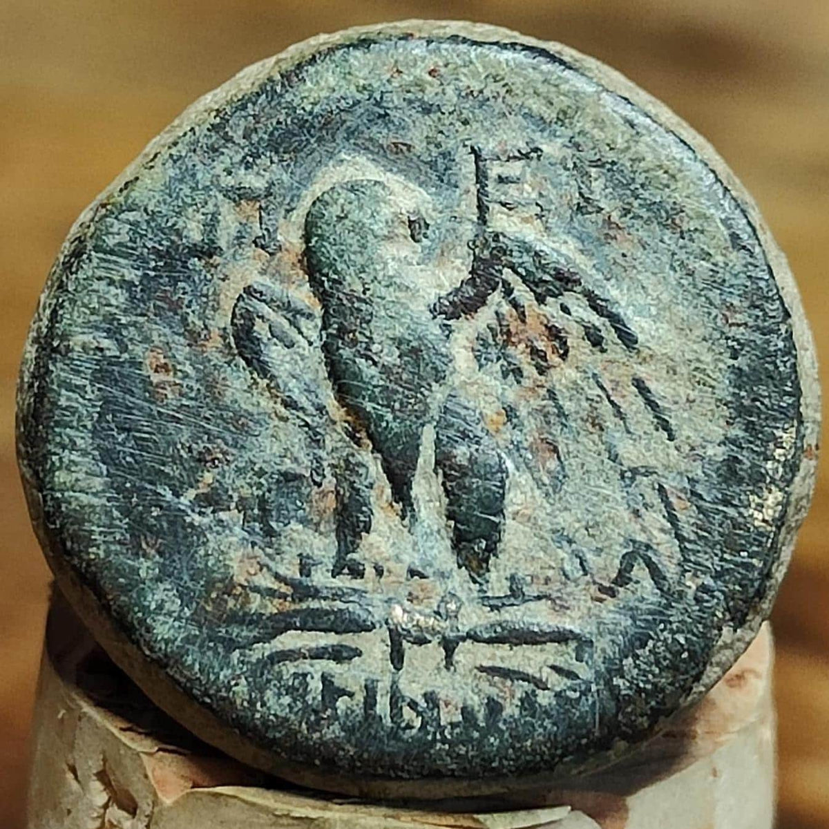 Mithridates VI, Zeus and Eagle, Pontos- Amisos, Ancient Greek coin 85-65 BC. - VPUKcoins