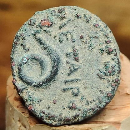 Mysia, Pergamon, Philetairos, Athena/ serpent, Ancient Greek coin, 158 - 138 BC - VPUKcoins