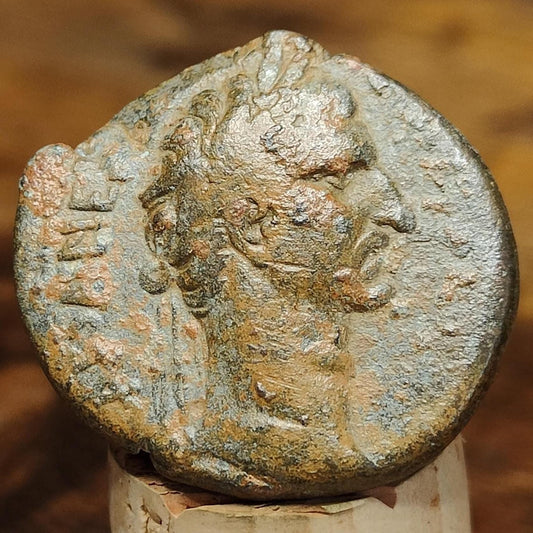 Nerva provincial issue Roman Coin, 96 - 98 AD, Antioch mint - VPUKcoins