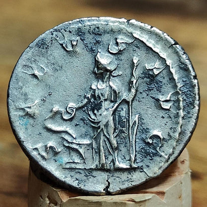 Philip I Roman Antoninianus, Salus reverse, ancient double denarius coin - VPUKcoins