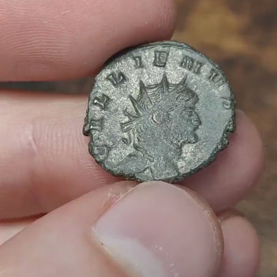 Gallienus Zoo series Roman coin AE3, 3rd century ancient Antoninianus