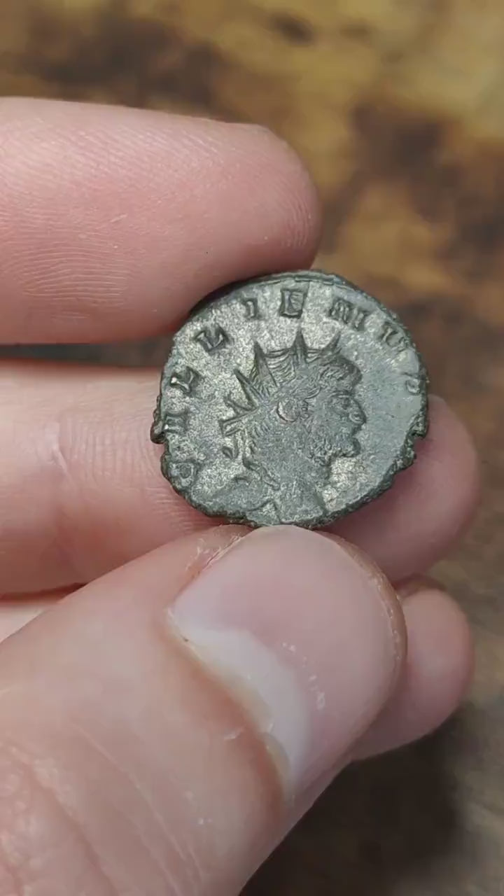 Gallienus Zoo series Roman coin AE3, 3rd century ancient Antoninianus