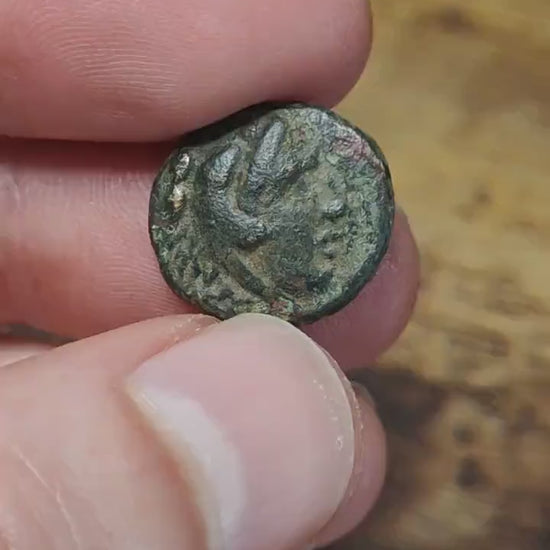 Kingdom of Macedon, Antigonos II Gonatas, Ancient Greek coin 277-239 BC.