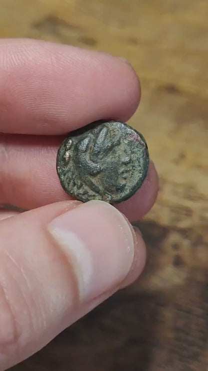 Kingdom of Macedon, Antigonos II Gonatas, Ancient Greek coin 277-239 BC.