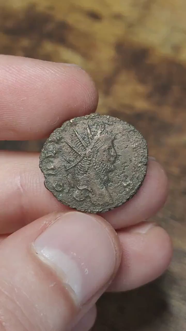 Gallienus Zoo series Roman coin AE3, 3rd century ancient Antoninianus