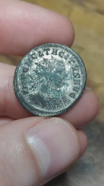 Tacitus Antoninianus, high grade ancient roman double denarius coin, Salus reverse