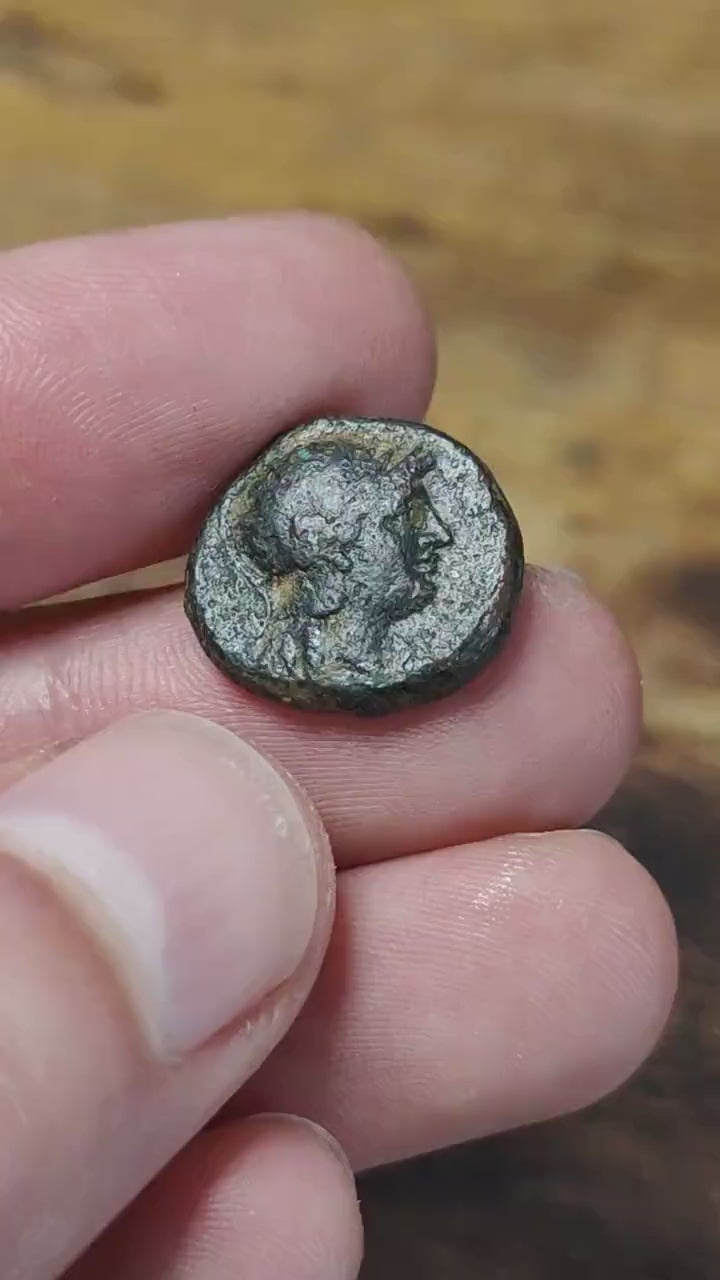 Seleukid Kingdom, Seleukos II Kallinikos, Ancient Greek coin, 246-225 BC