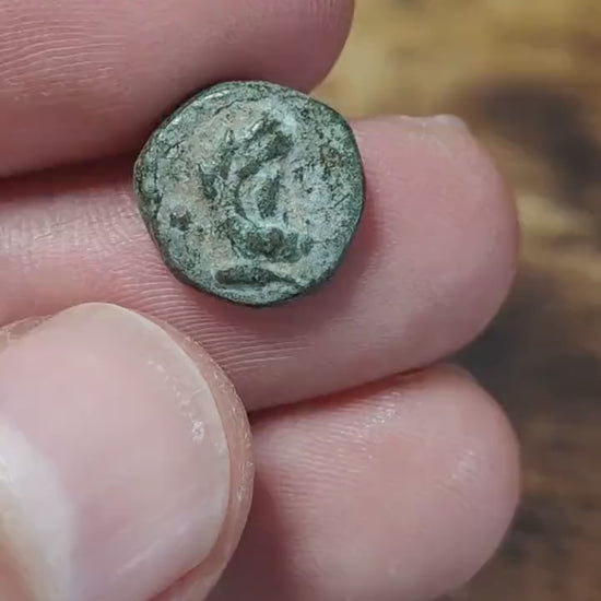 Herakles and thunderbolt, Selge Pisidia, Ancient Greek coin 1st century BC