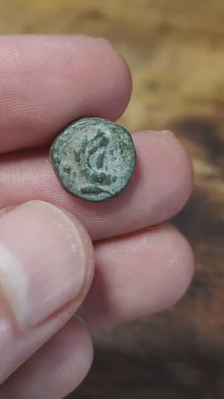 Herakles and thunderbolt, Selge Pisidia, Ancient Greek coin 1st century BC