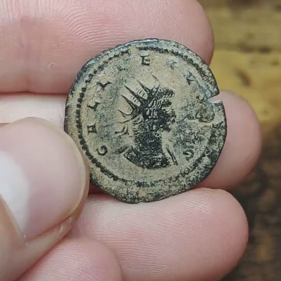 Gallienus Roman Antoninianus, Desert patina ancient double denarius coin