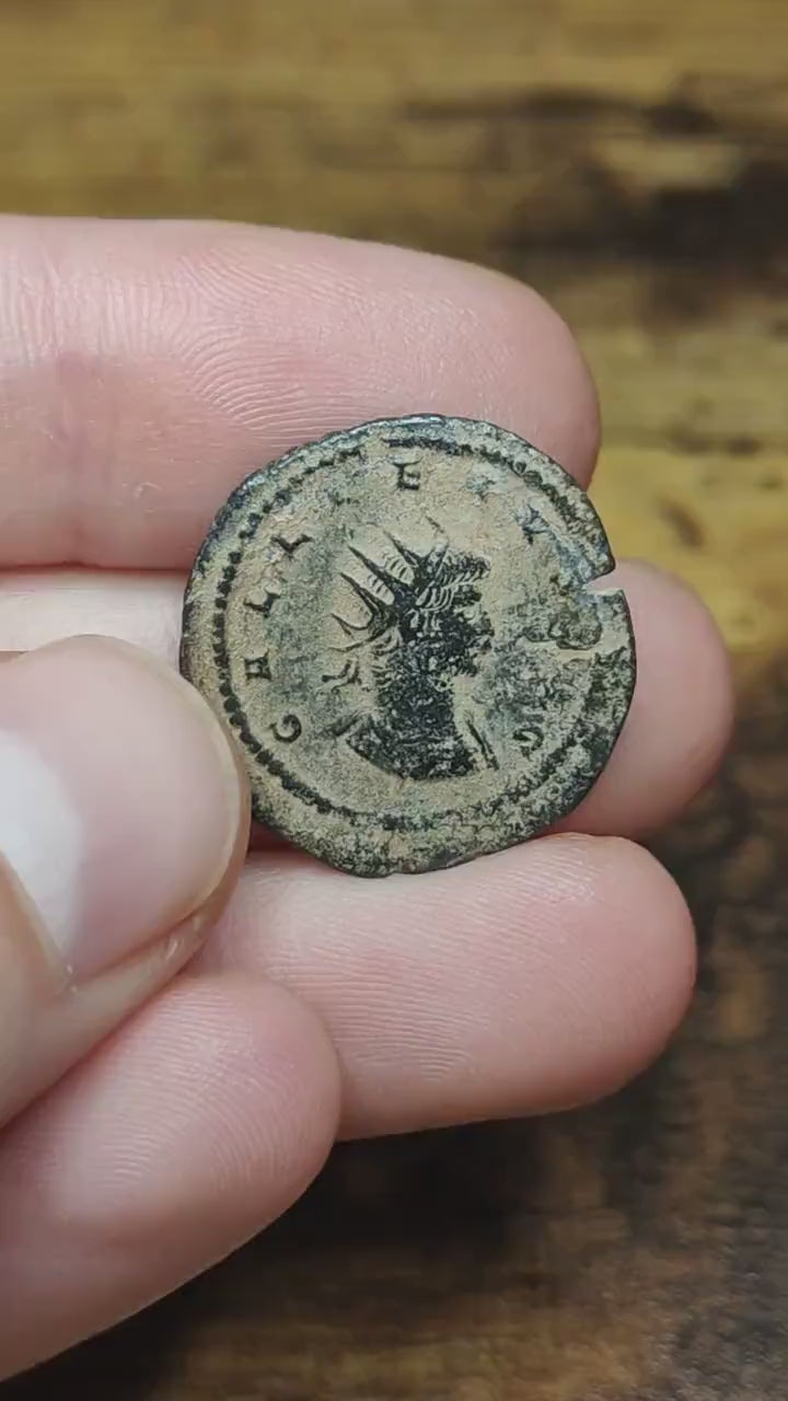Gallienus Roman Antoninianus, Desert patina ancient double denarius coin