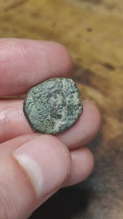 Nabatean jugate, Rabbel II and crossed cornucopia, Ancient Greek coin 70-106 AD