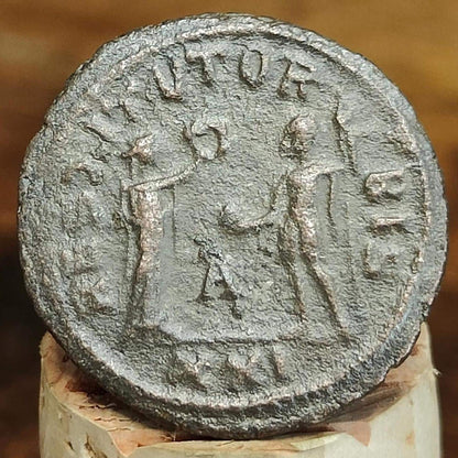 Probus Antoninianus, wreath reverse, ancient Roman double denarius coin - VPUKcoins