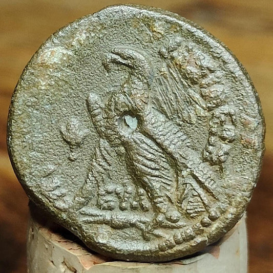 Ptolemy VI Ancient Egyptian coin with Zeus and eagle reverse, 180 - 170 BC - VPUKcoins