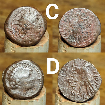 Quality Ancient Greek coins, Authentic Bronze Nummus - VPUKcoins