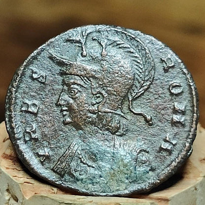 Roman commemorative coin with She Wolf reverse, ancient Nummus - VPUKcoins