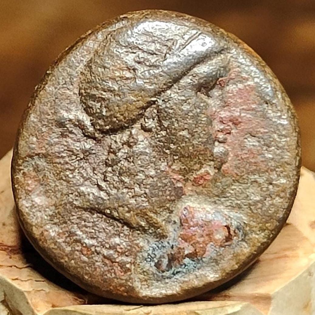 Seleucis and Pieria, Artemis / Laurel branch, Ancient Greek coin 65 - 66 AD - VPUKcoins
