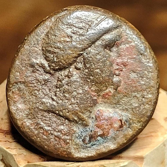 Seleucis and Pieria, Artemis / Laurel branch, Ancient Greek coin 65 - 66 AD - VPUKcoins