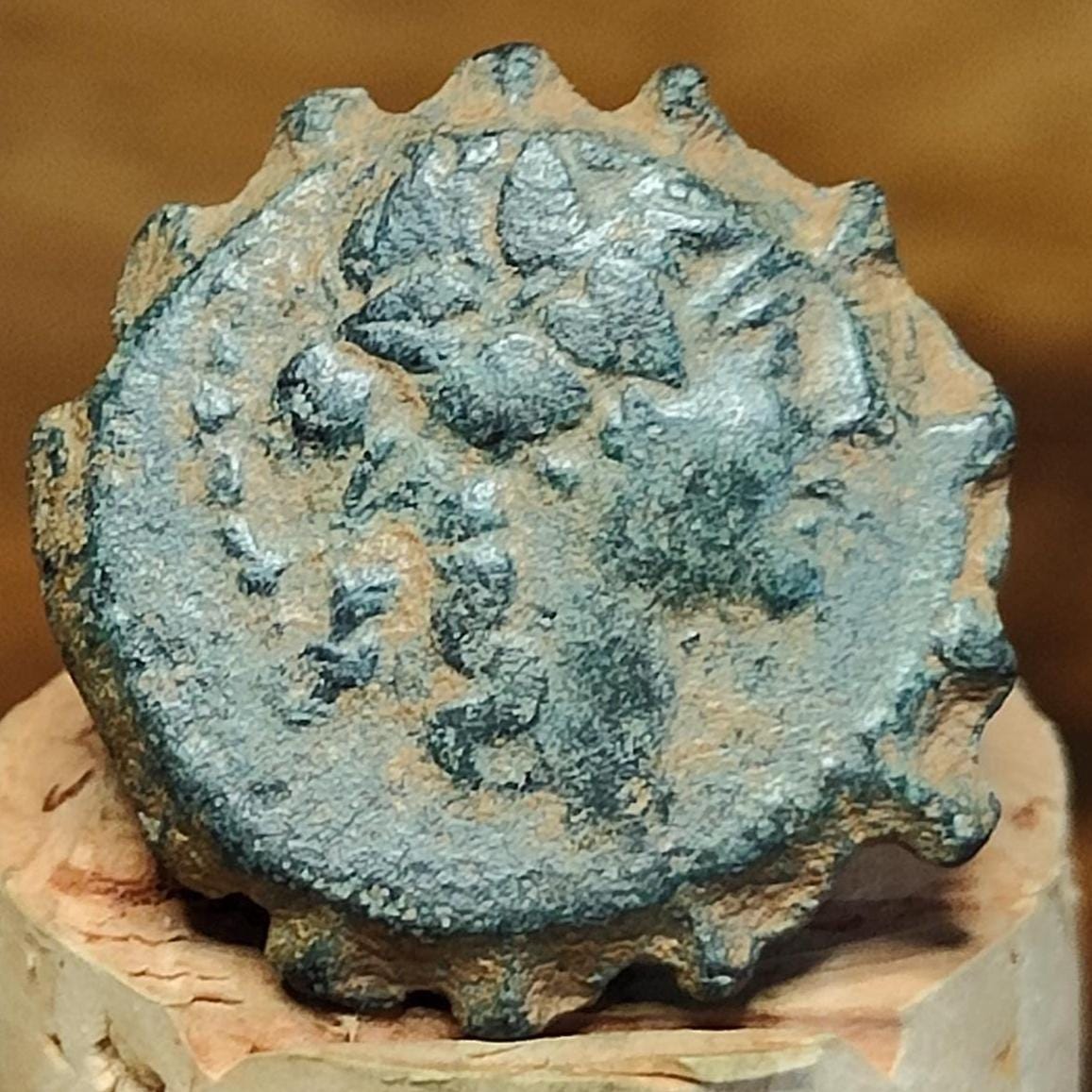 Seleukid Kingdom, Alexander II Zabinas, Ancient Greek coin, 128-122 BC - VPUKcoins