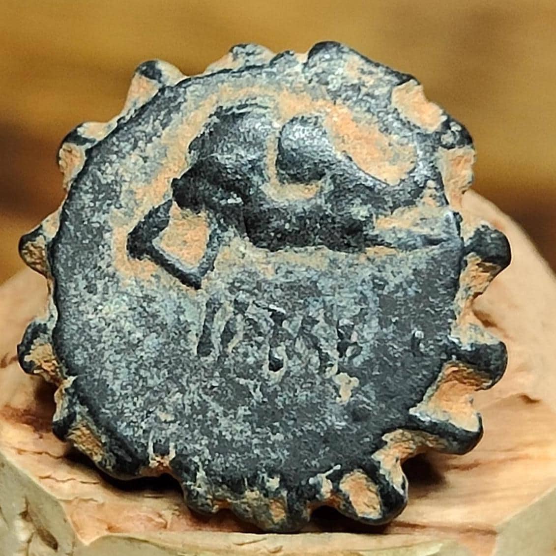 Seleukid Kingdom, Demetrios I, Ancient Greek coin, 162 - 150 BC - VPUKcoins