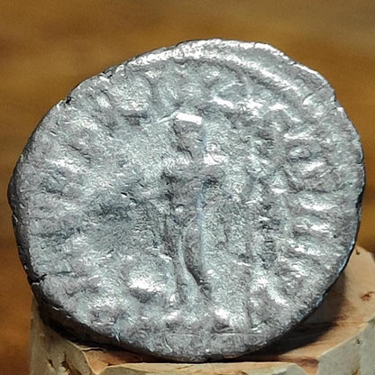 Septimius Severus with Liber reverse Silver Denarius, Ancient roman coin - VPUKcoins