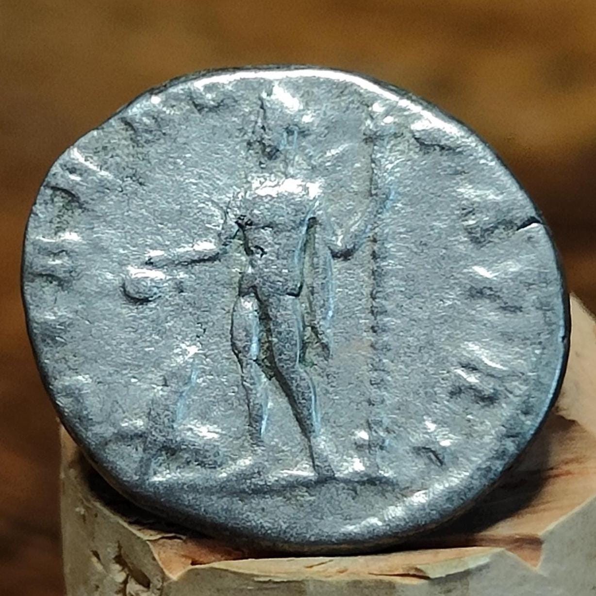 Septimius Severus with Liber reverse Silver Denarius, Ancient roman coin - VPUKcoins