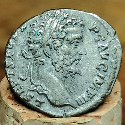 Septimius Severus with Pax reverse Silver Denarius, Ancient roman coin - VPUKcoins