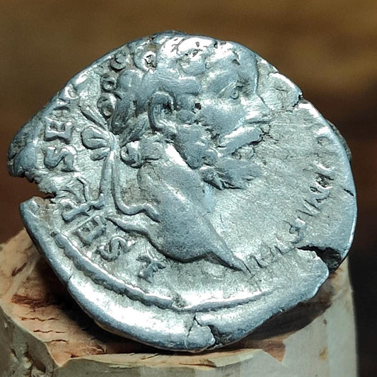 Septimius Severus with Victory reverse Silver Denarius, Ancient roman coin - VPUKcoins