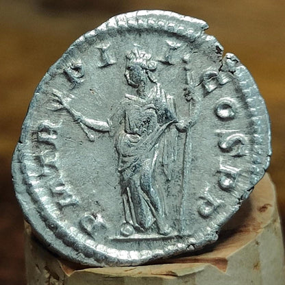 Severus Alexander with Pax reverse Silver Denarius, Ancient roman coin - VPUKcoins